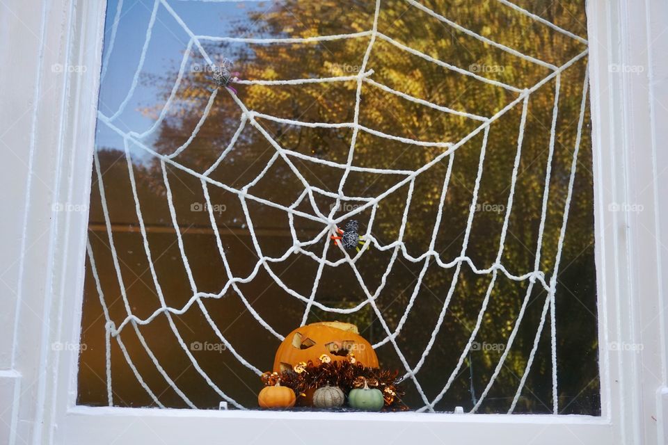 Halloween window display 🎃