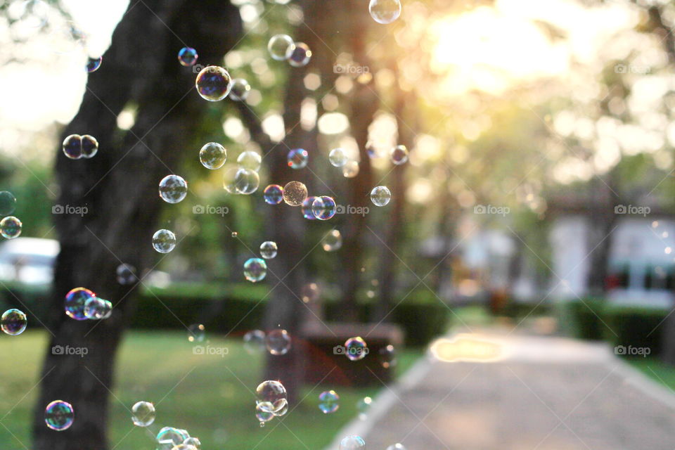 Bubble 