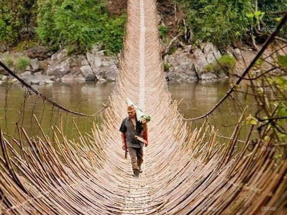 Cute Bridge
