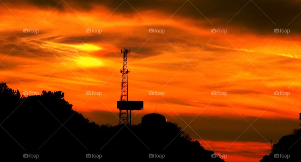 Silhouette of tree during sunset