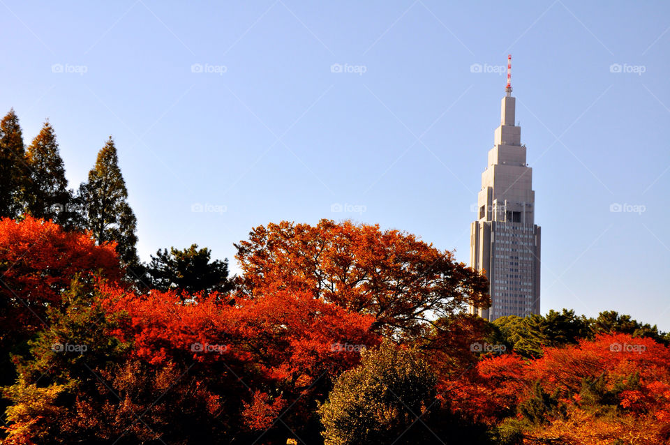 sky autumn architecture japan by takfirst3