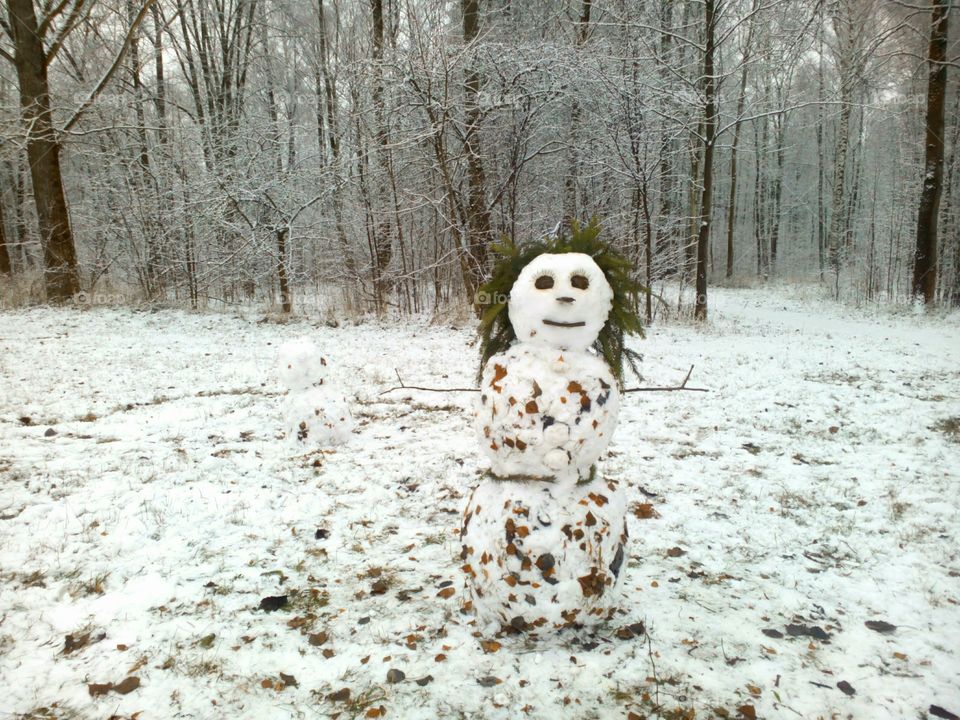 Winter, Snow, Wood, Cold, Frost