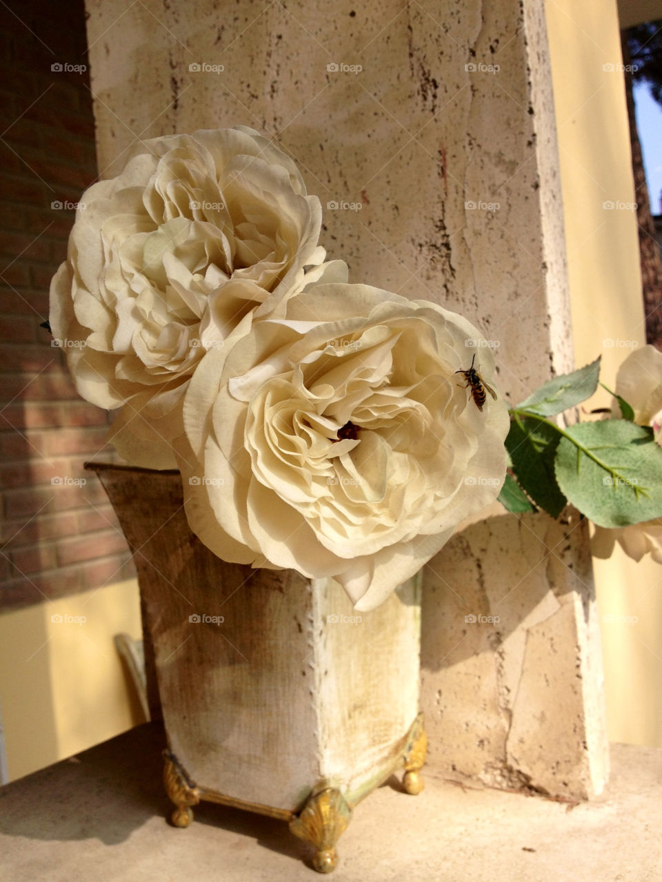 flower romantic rose bee by korazmd