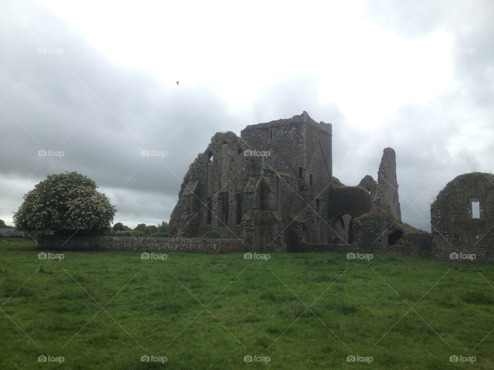 Hore Abbey in County Tipperary, Ireland. I stumbled upon the haunting ruins of this 13th century Cistercian abbey after visiting the Rock of Cashel nearby.  In this photo I attempted to capture the contrast between the luscious life on the ground and the ancient abandonment of the grey abbey rock.  That contrast along with the grey yet bright clouds gives, at the same time, a sense of sadness and loneliness as well as a sense of hope and a reminder of the persistence of life. 

