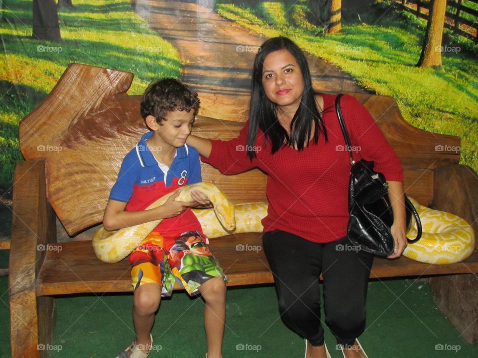 Diferent Pet in Brazil