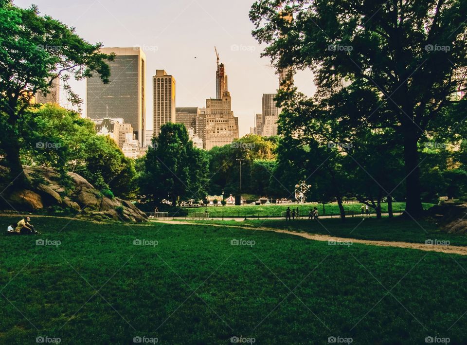 New York, Manhattan, Central Park, people, summer, sunset, trees, plants, grass, green, Park, buildings, architecture, nature, skyscrapers, city, big city, panoramic view, 