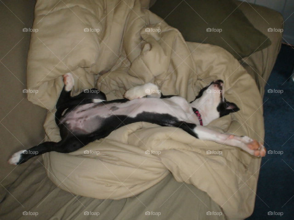 Couldn't do any more.