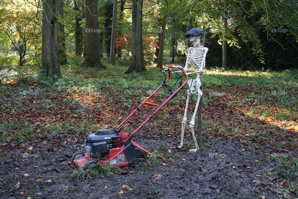 This made me laugh seeing a skeleton wearing a Yorkshire Flat Cap mowing the lawn 😂