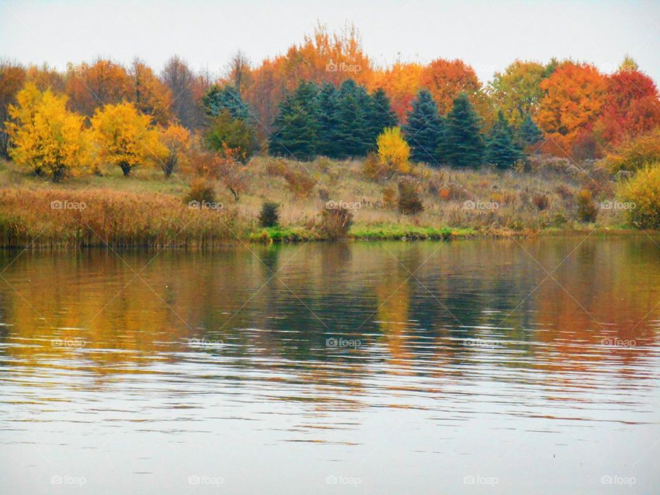 autumn lake