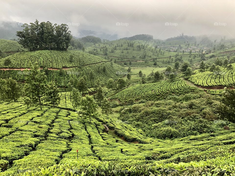 Munnar smoothness ! 