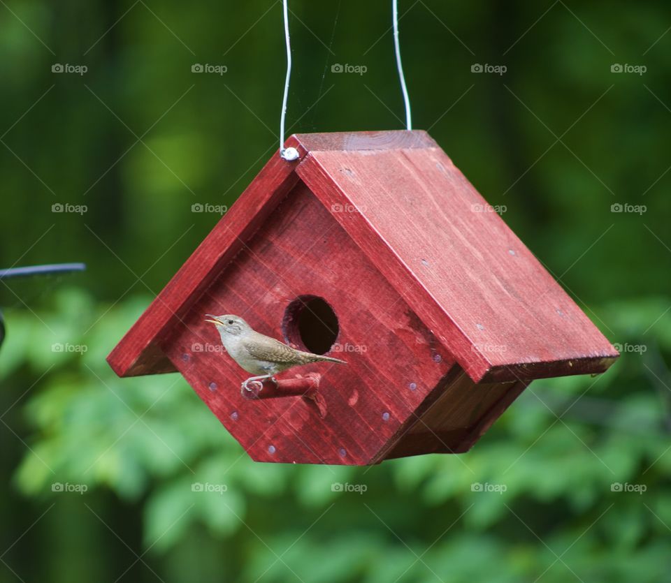 Birdhouse in Red