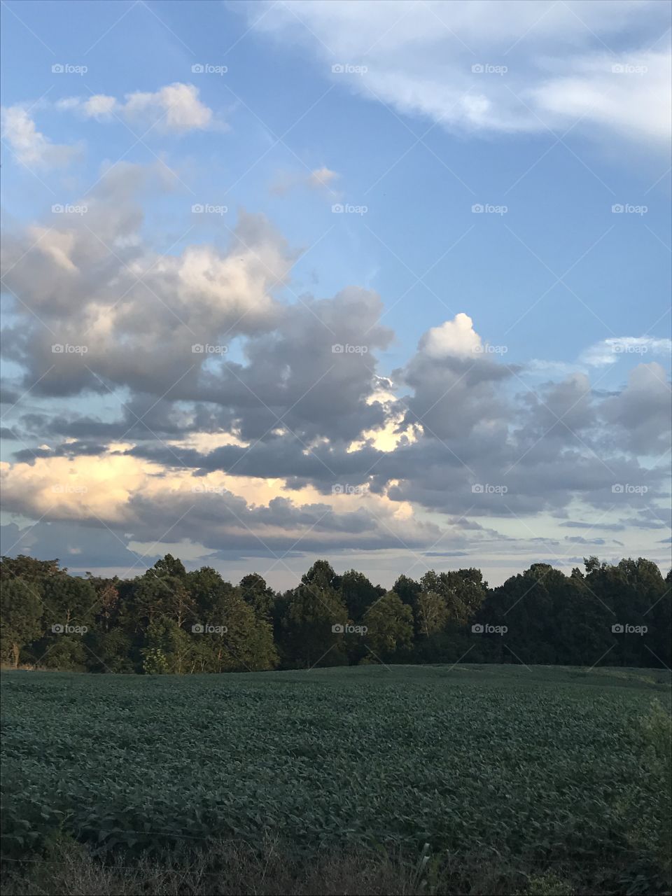 The beginning of sunset in the Bluegrass state is just as breathtaking as the sunset itself. 