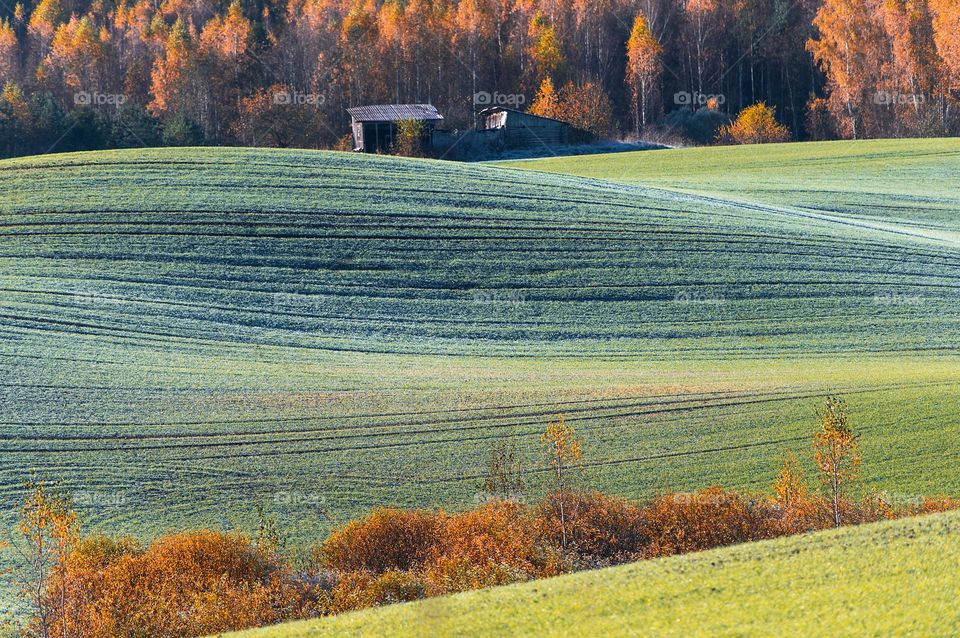 Fall colors landscape