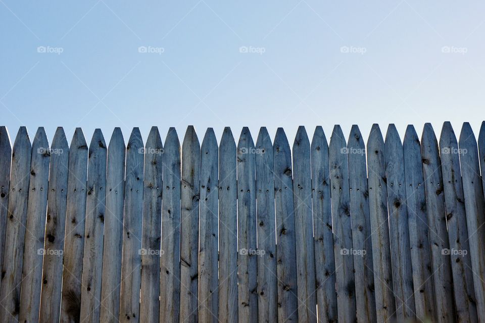 Fence 