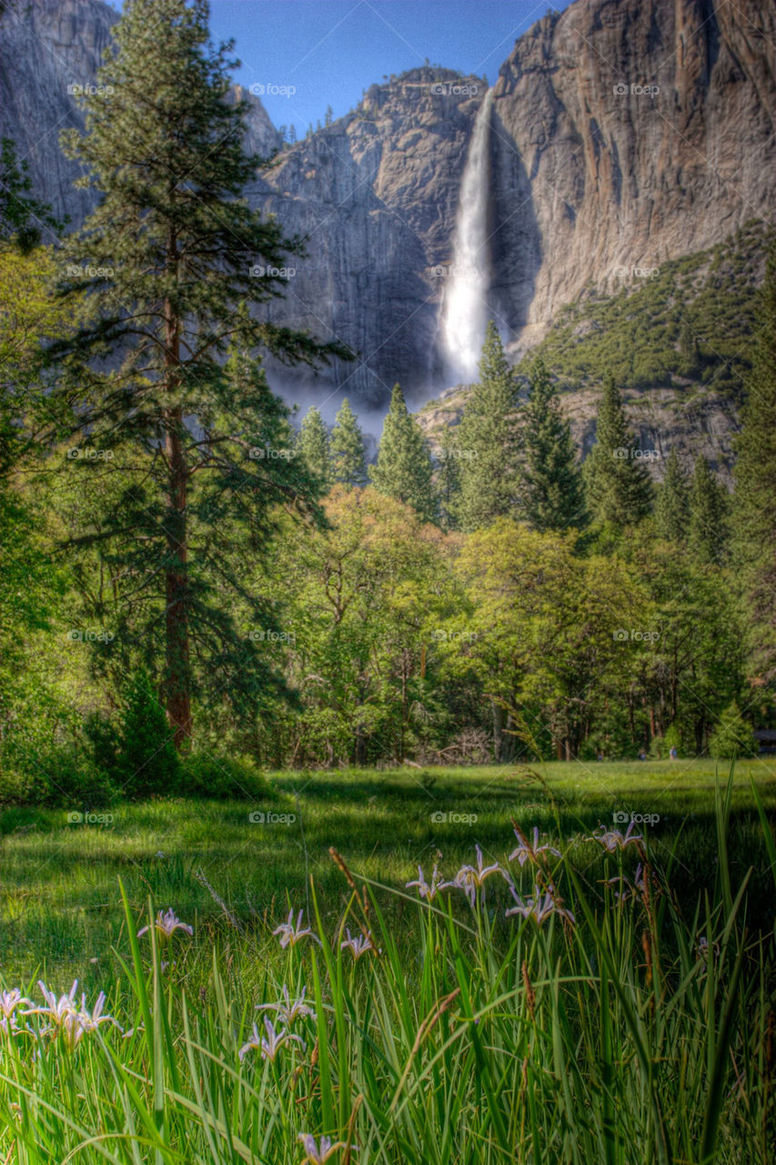 meadow trees waterfall wilderness by pixel