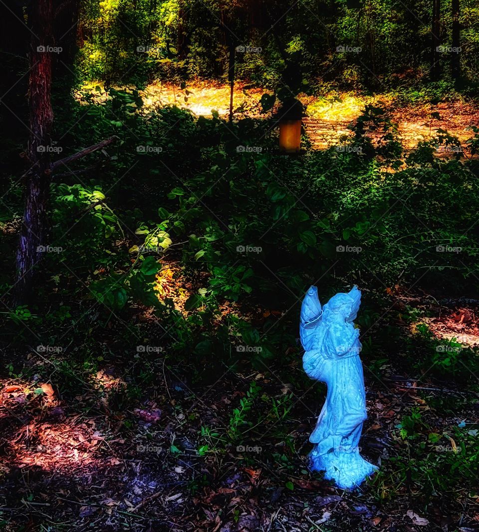 A quiet country garden highlighted by the midday sun.