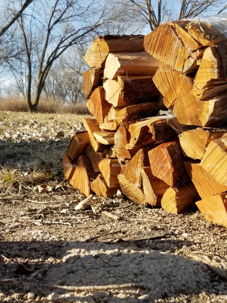 Got wood?
