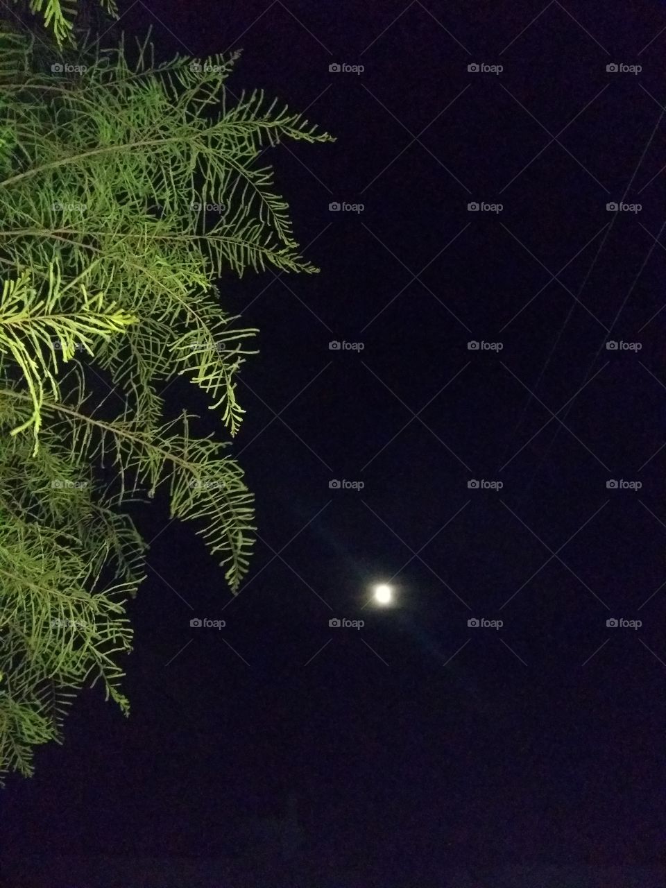 Nature with moon