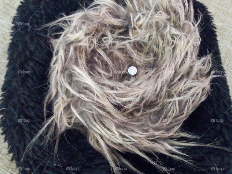 soft fur