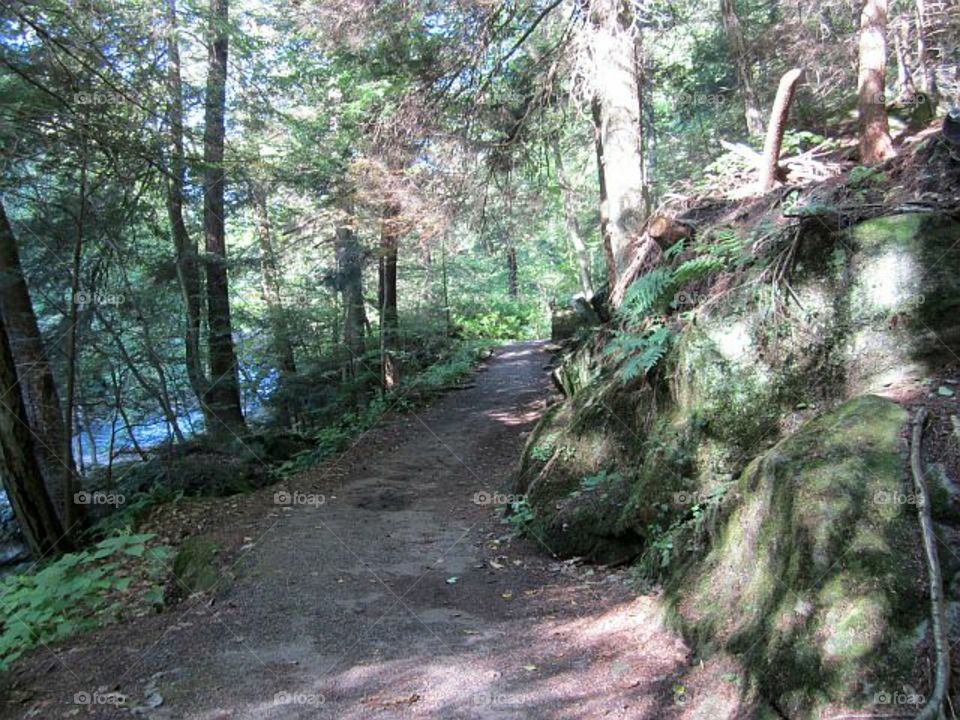 Hiking trail