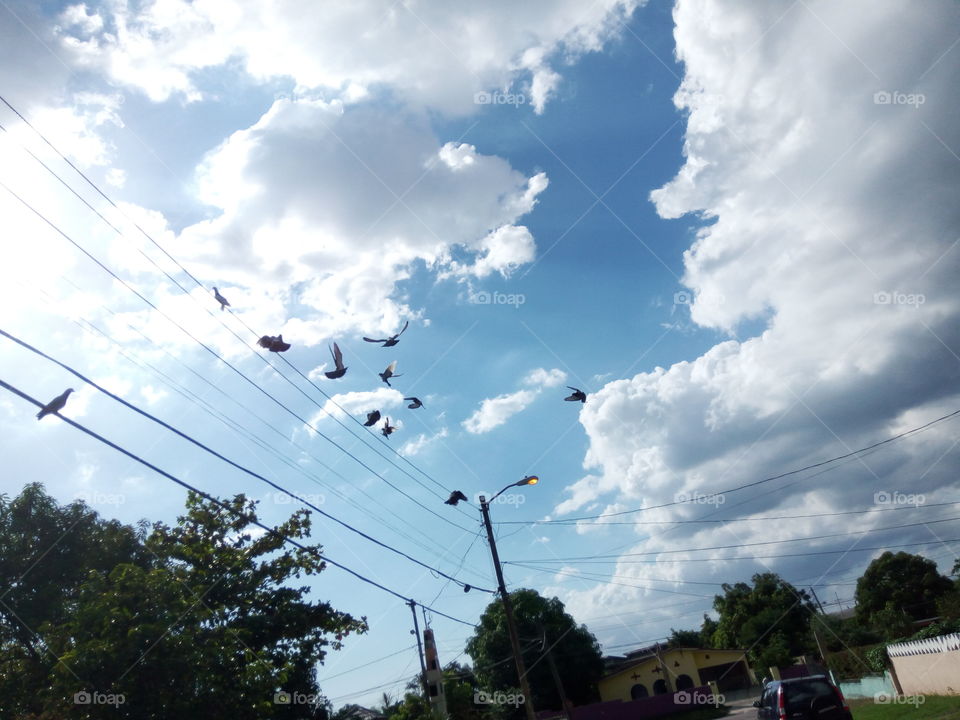 Sky, Landscape, Nature, Outdoors, Summer