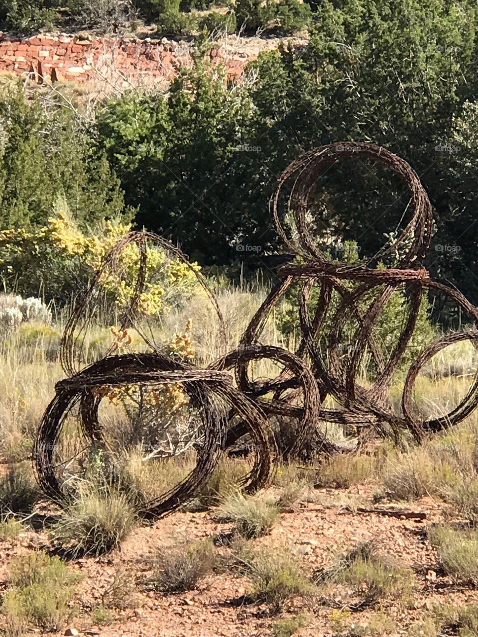 Twine sculpture New Mexico