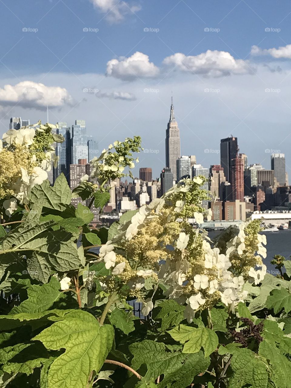 Empire State Building Flowers