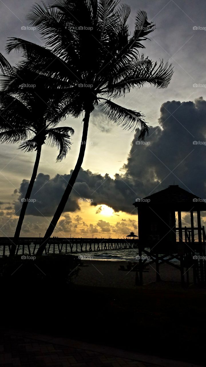 The golden hour . Morning sunrise in Florida 