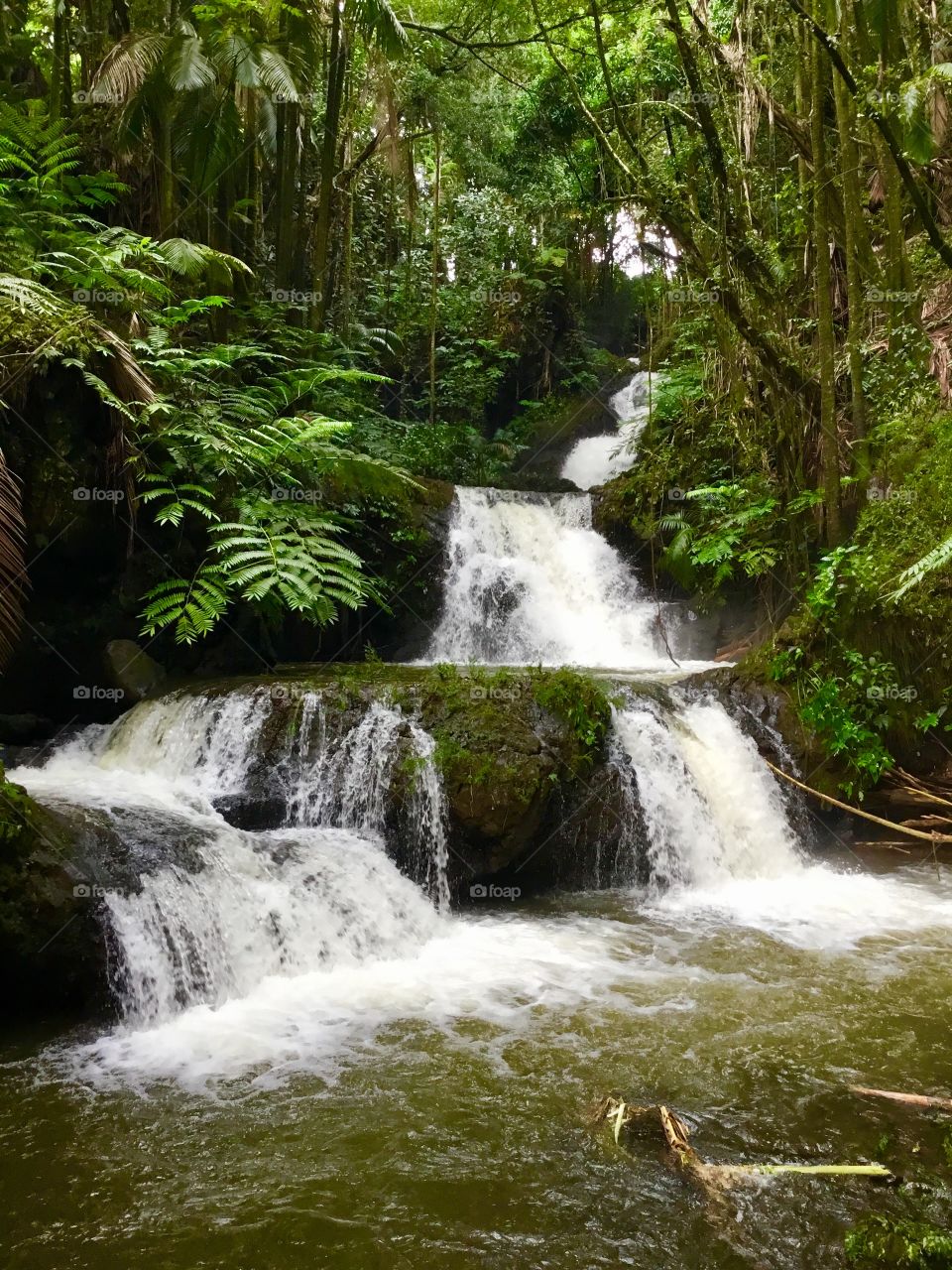 Waterfall at Hawaii Tropical Botanical Garden