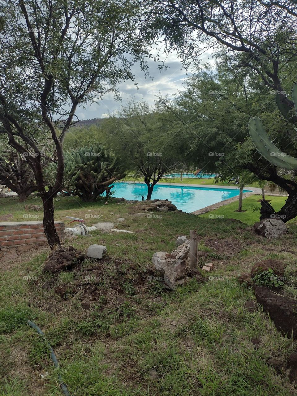 Piscina al Aire Libre