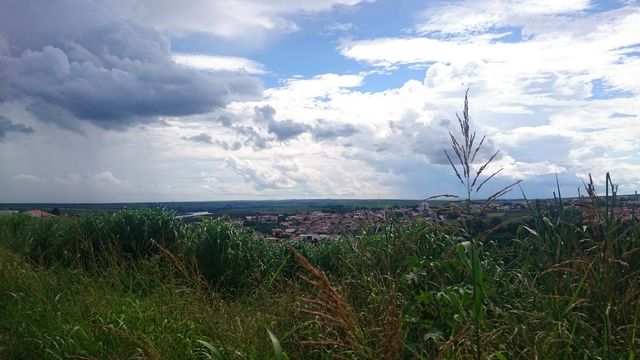 city