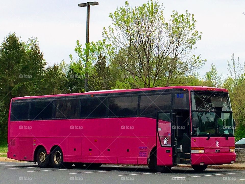 Hot pink Bus driven by women, parked in Rest Area. The inside was made into a living quarters.