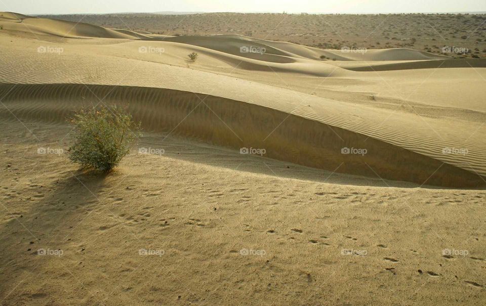 Just a little bit dessert