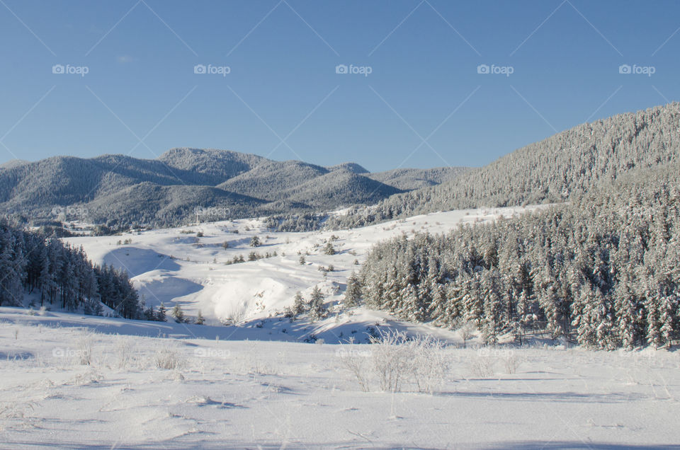 Beautiful Winter landscape