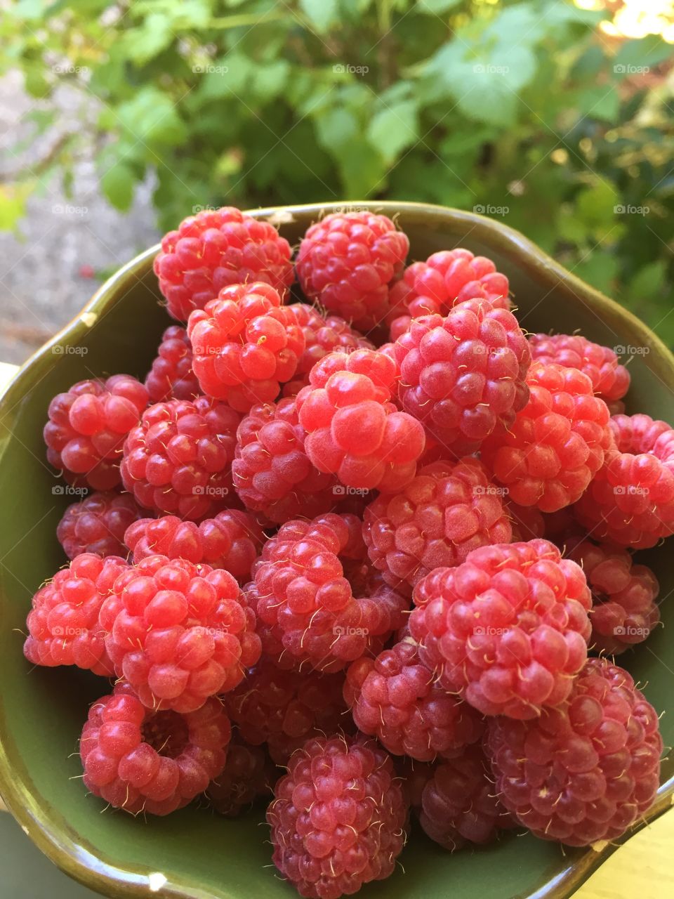 Raspberry crop 
