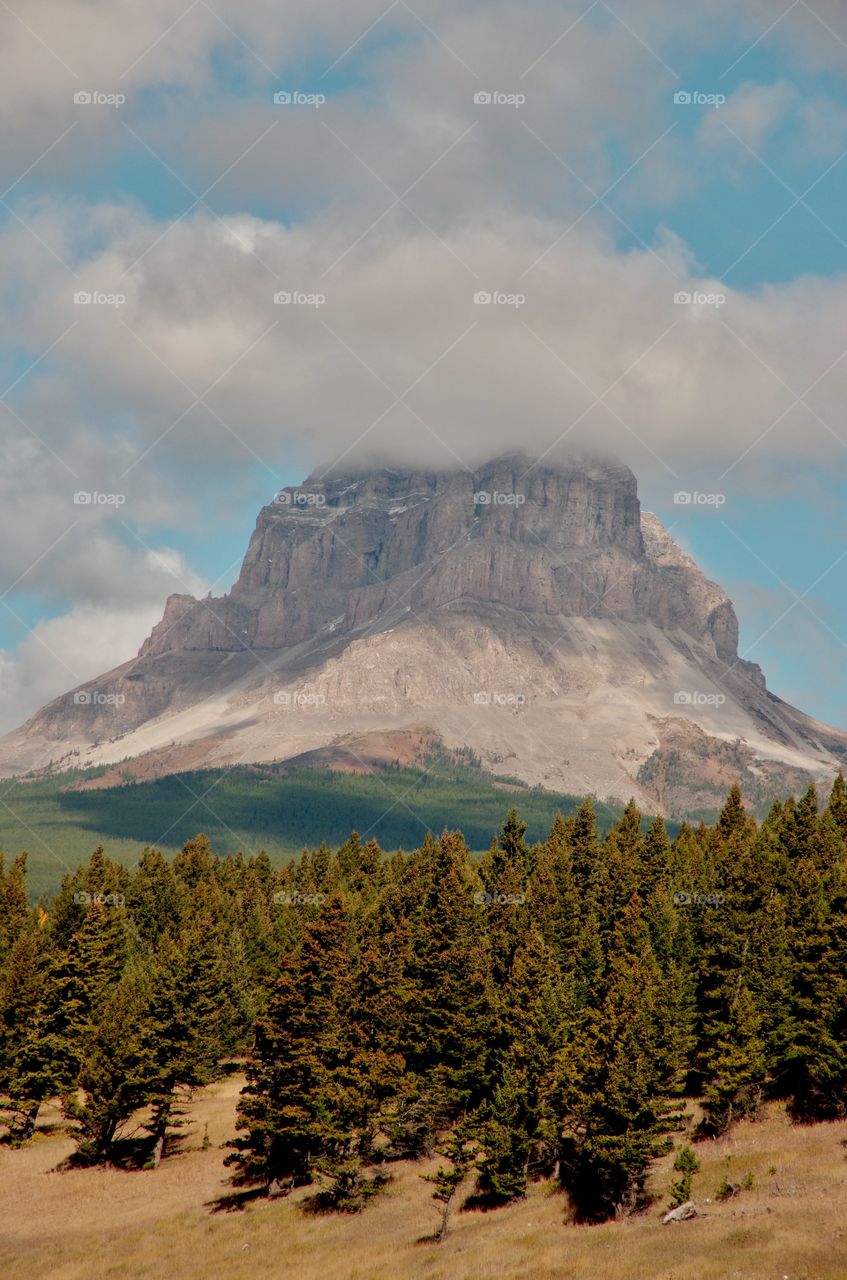 Exterior daylight.  Alberta, CA.  Looking from Highway #3.  Crows Nest Mountain.  Foreground:  conifers.  Background:  the mountain.