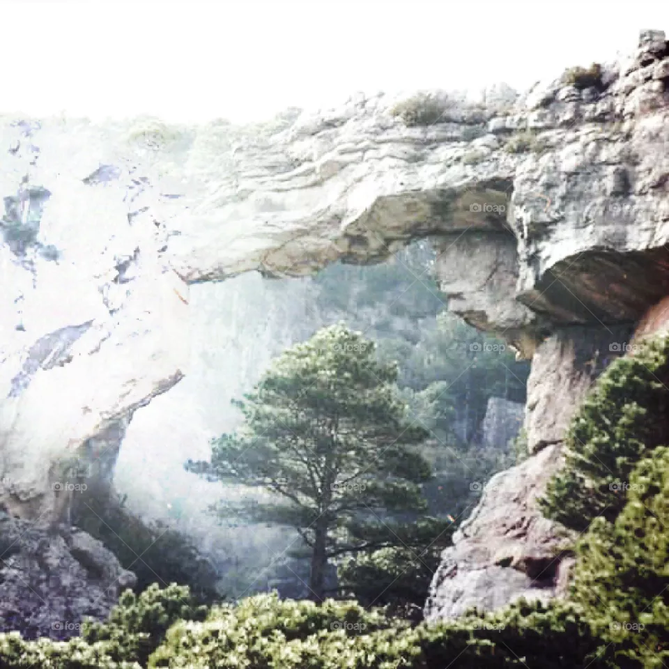 rocks
