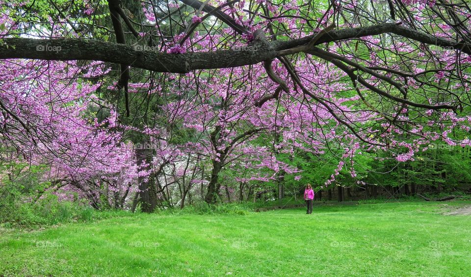 Spring Vanderbilt gardens NY state