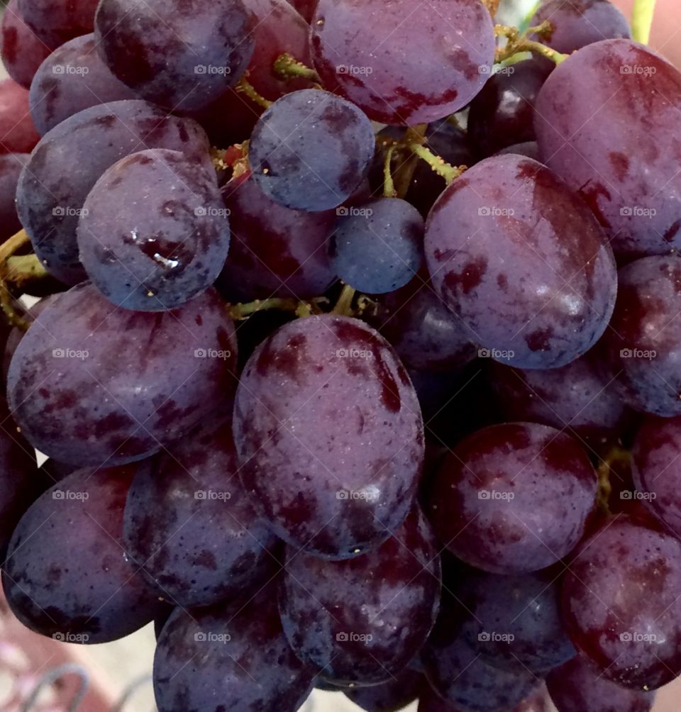 Grapes 