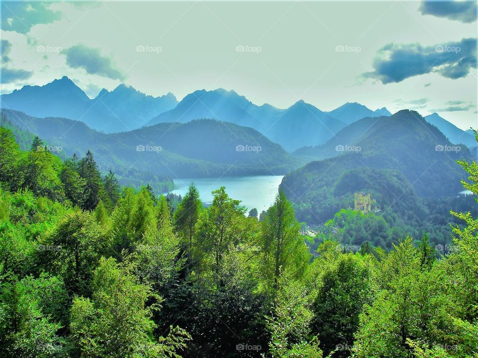 Emerald forest. / Floresta esmeralda.