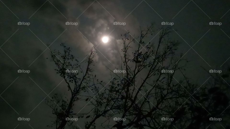 This is very very beautyfull and good moon light