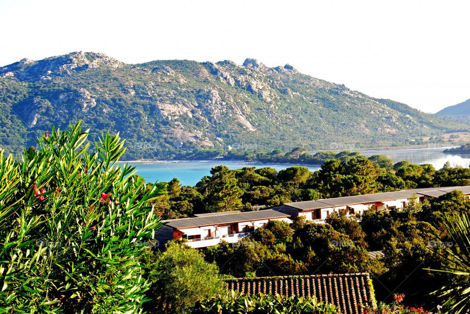 beach ocean green summer by elinered