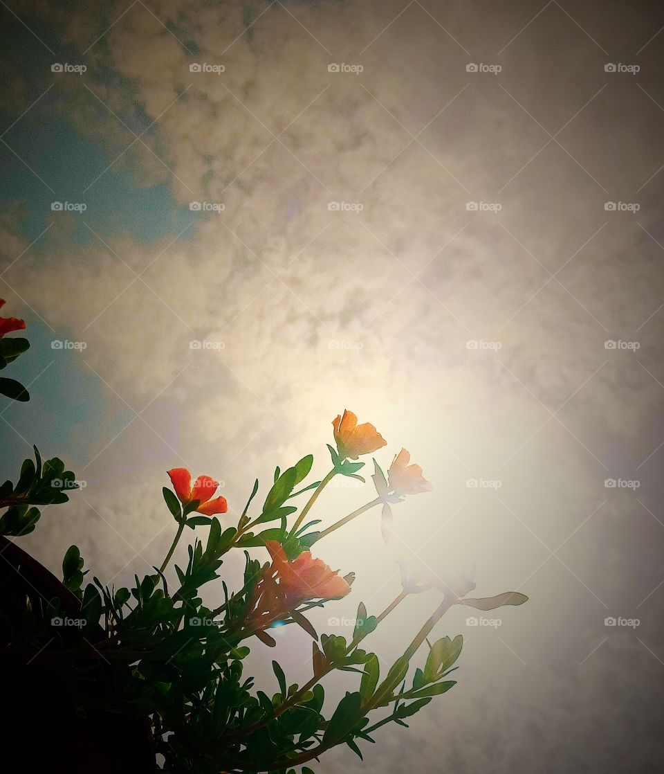 #today #love #instagram #instagood #like #follow #photography #life #photooftheday #me #happy #picoftheday #beautiful #instadaily #nature #fashion #photo #art #likeforlikes #smile #motivation #myself #now #style #day #selfie #music #insta #l #bhfyp