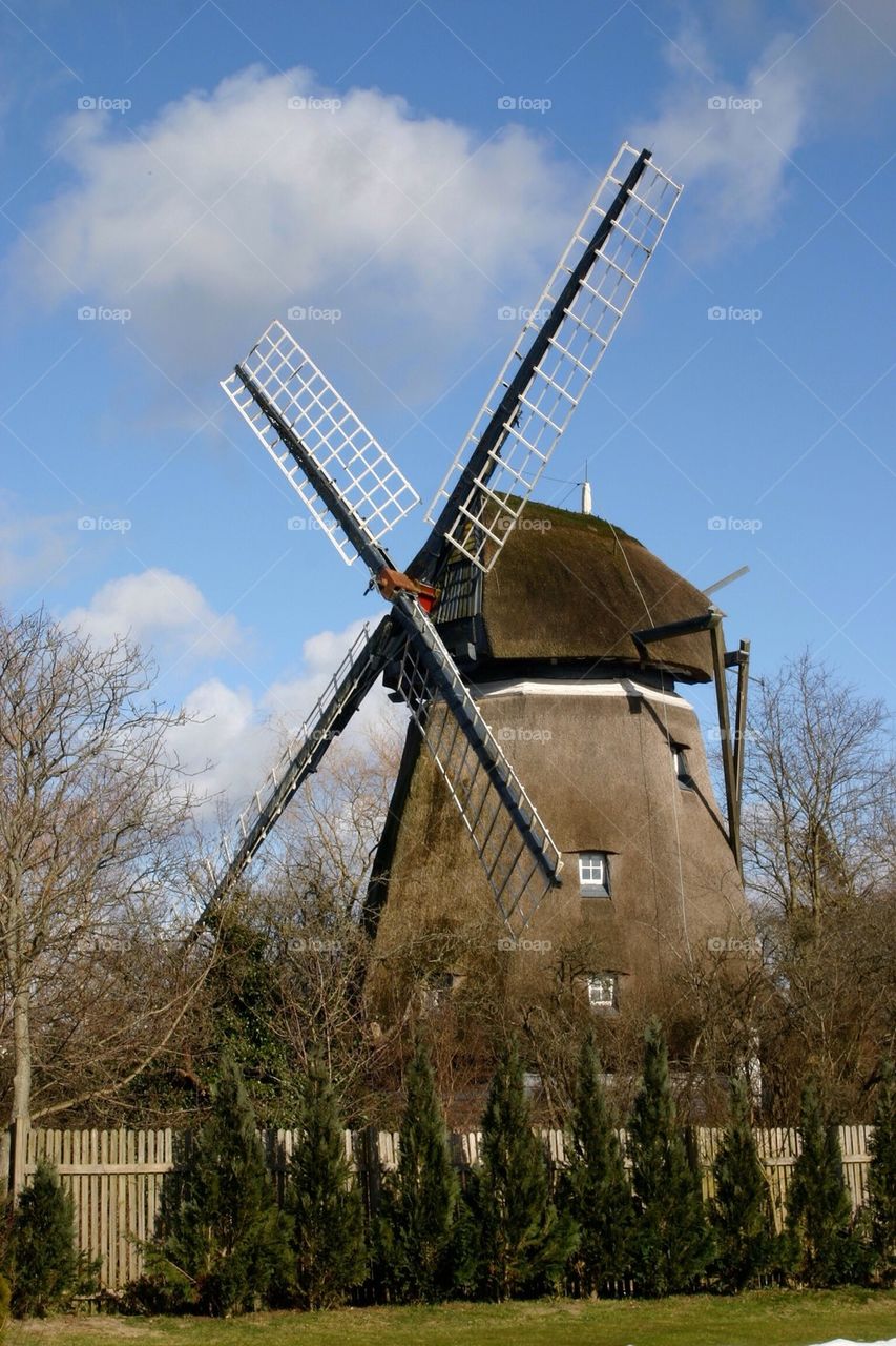 Windmill
