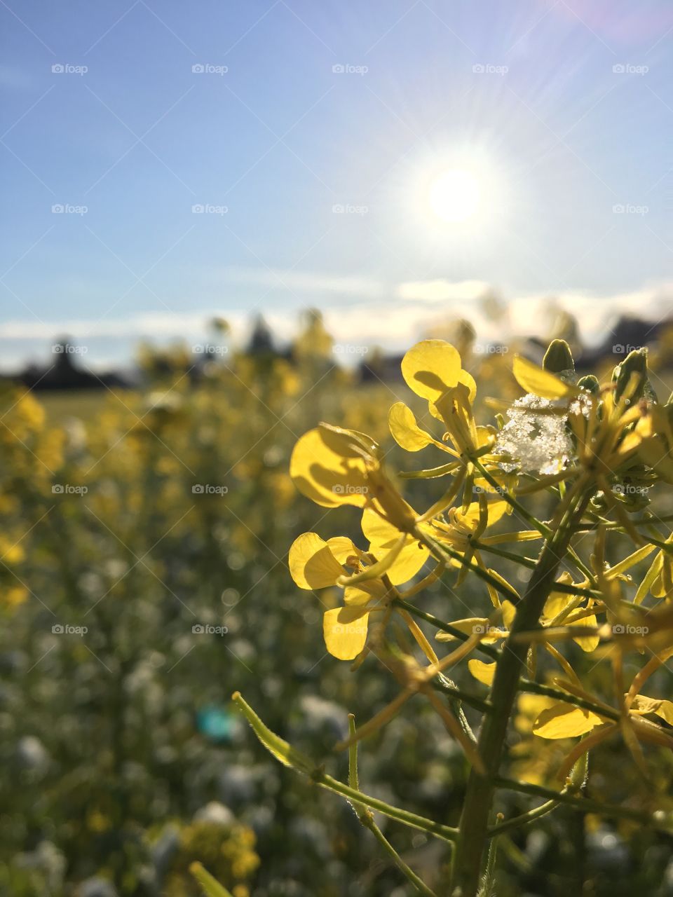 Beginning of winter...