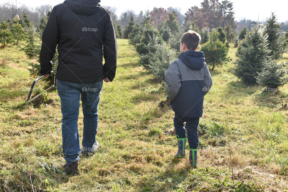 Father and son walking together at a tree farm to cut a Christmas tree