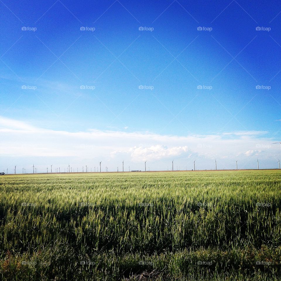 Open Kansas field with windmills in the distance 