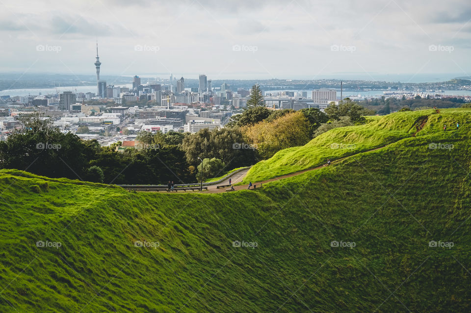 The curves of Mount Eden