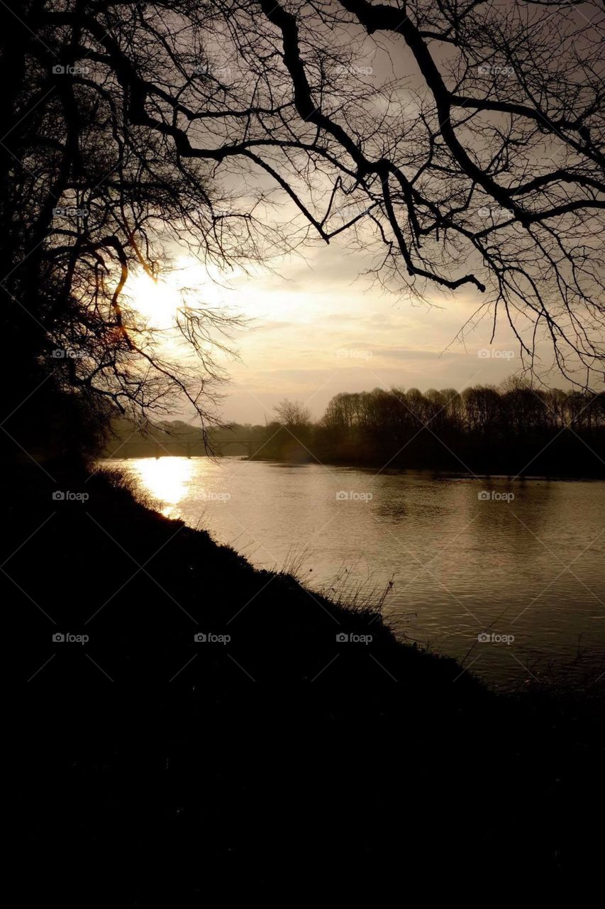 Trees On The Bank Of An English River, Avenham Park In Preston England, Landscape Photography, Sunset In Avenham Park 