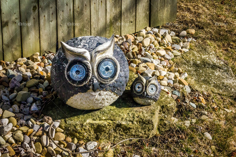 Pair of ceramic owls